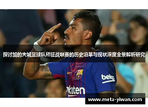 探讨加的夫城足球队所征战联赛的历史沿革与现状深度全景解析研究